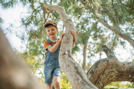 산림복지일자리사업으로 삶의 질을 높이는 방법