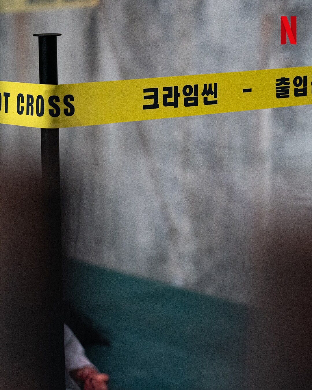 2025년 넷플릭스 신작 라인업 드라마 영화 예능