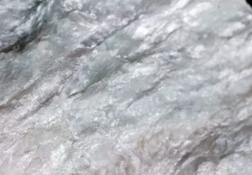 타르크