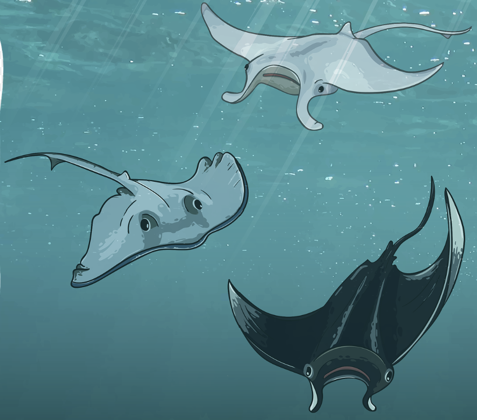 해양 생물의 항균 표면과 의료기기용 바이오필름 방지 코팅