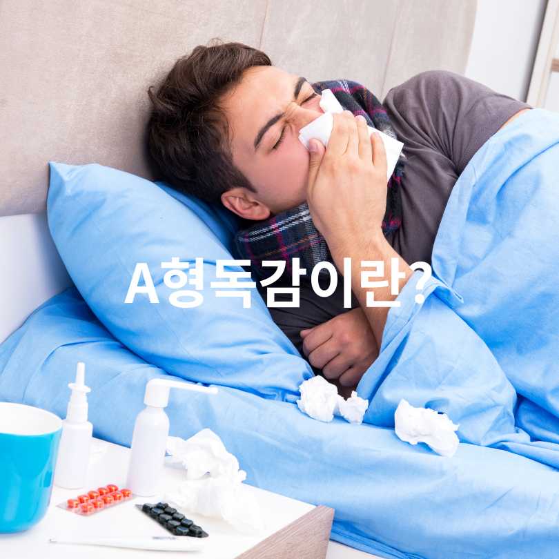 A형독감 vs B형독감 증상 차이 