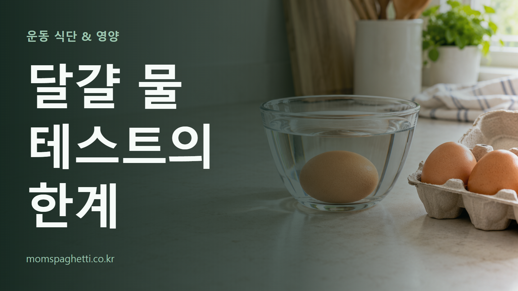 달걀 물 테스트의 한계 주제의 설명용 AI 생성 이미지와 제목 문구
