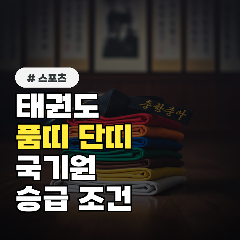 태권도 품띠 vs 단띠, 국기원 기준 차이와 승급 조건