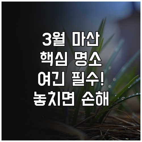 3월 마산 가볼만한곳 베스트 3 봉암..
