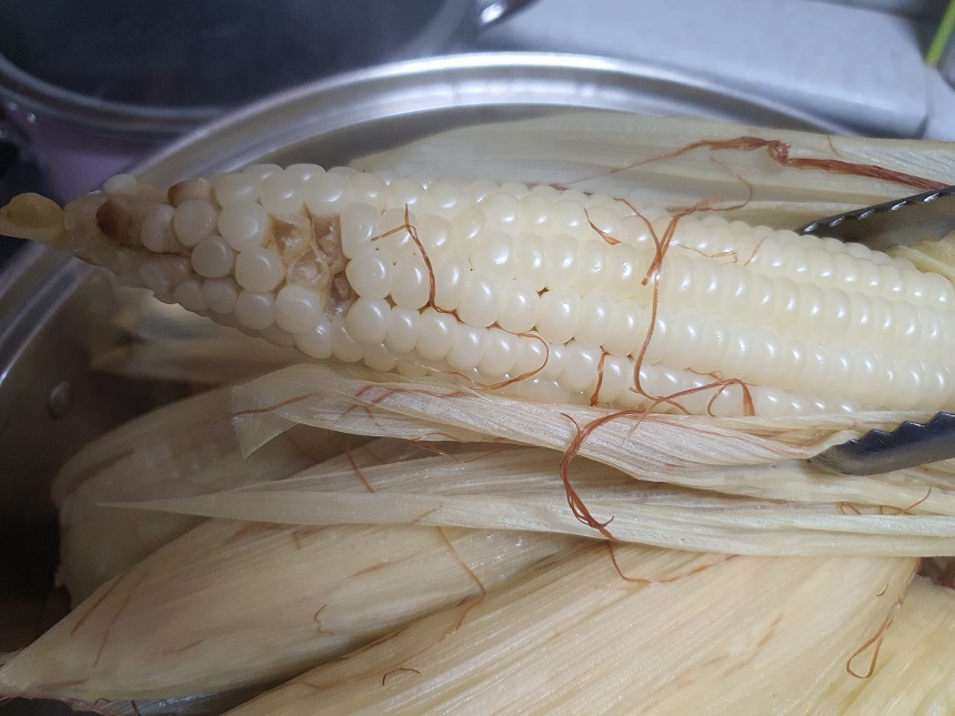옥수수맛있게삶는법