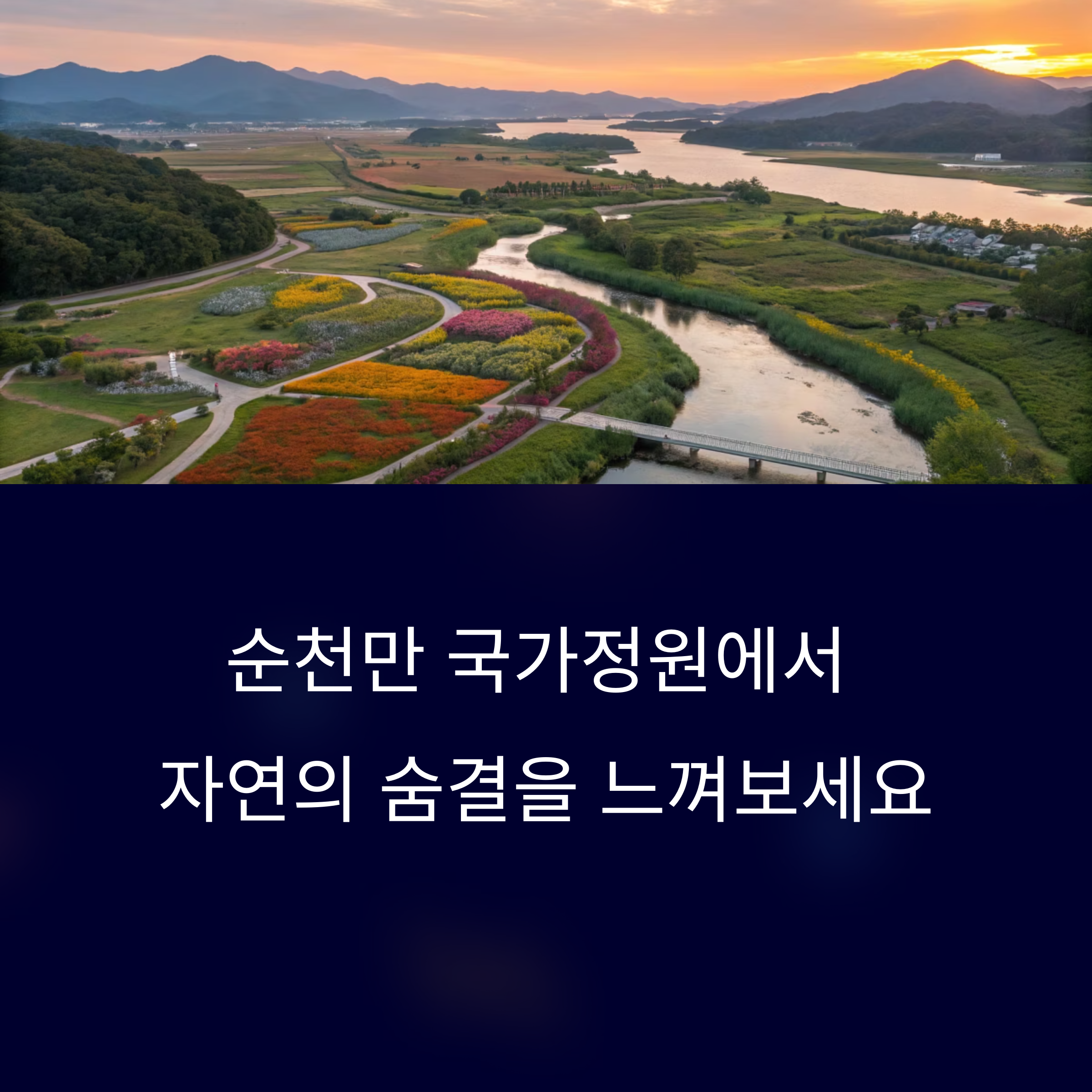 순천만 국가정원에서 만나는 자연의 예술과 생태의 감동