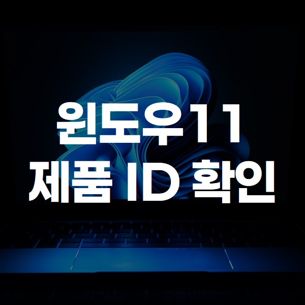 윈도우11 제품 ID 확인 방법 썸네일