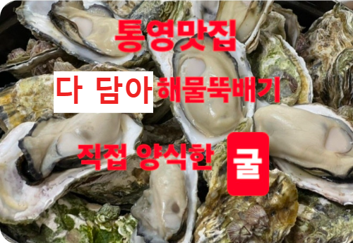통영 맛집 다담아 해물뚝배기 통영 여행 통영 가볼 만한 곳 내돈내산 맛집 후기