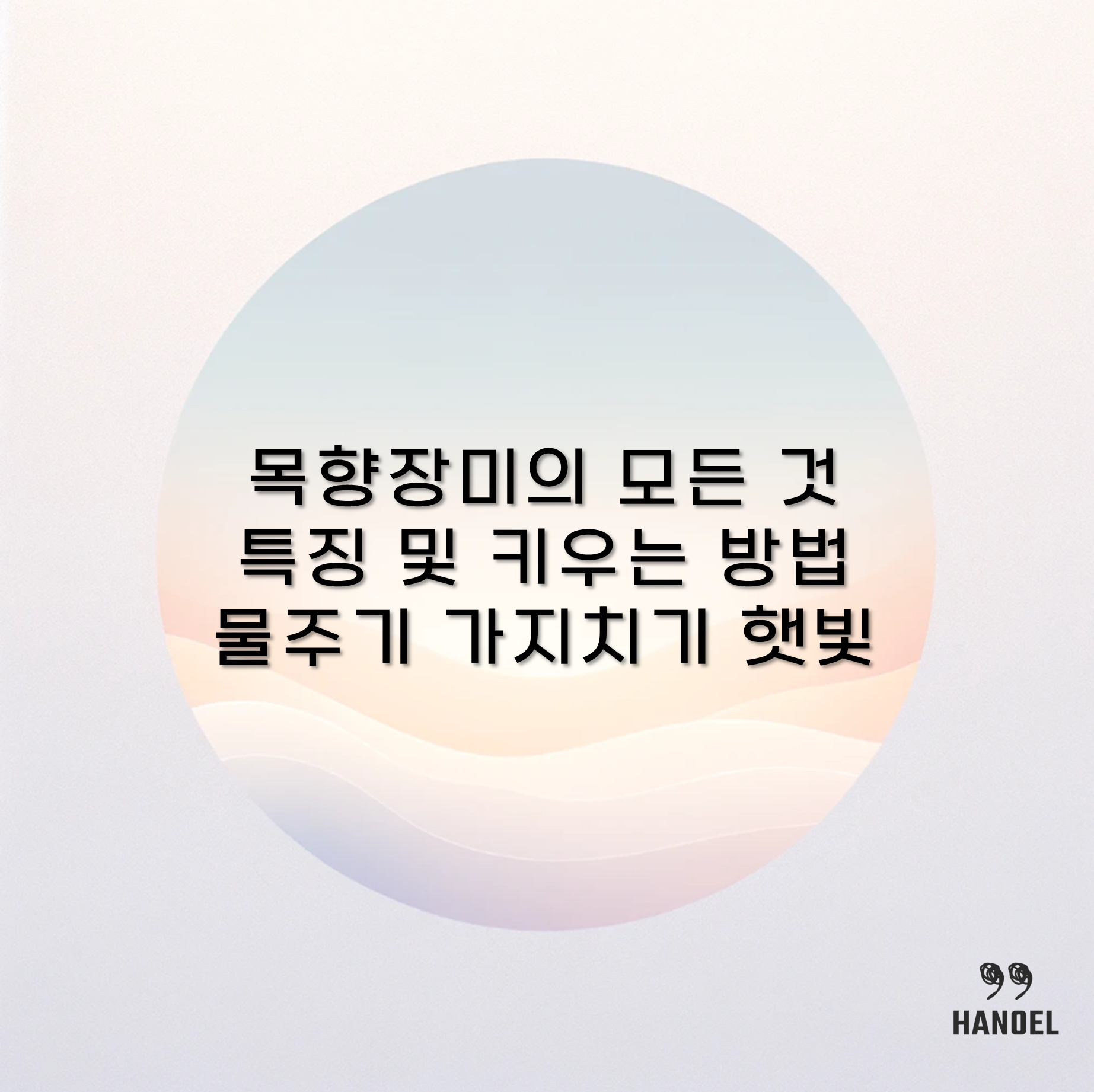 목향장미의 모든 것 특징 및 키우는 방법 물주기 가지치기 햇빛 등