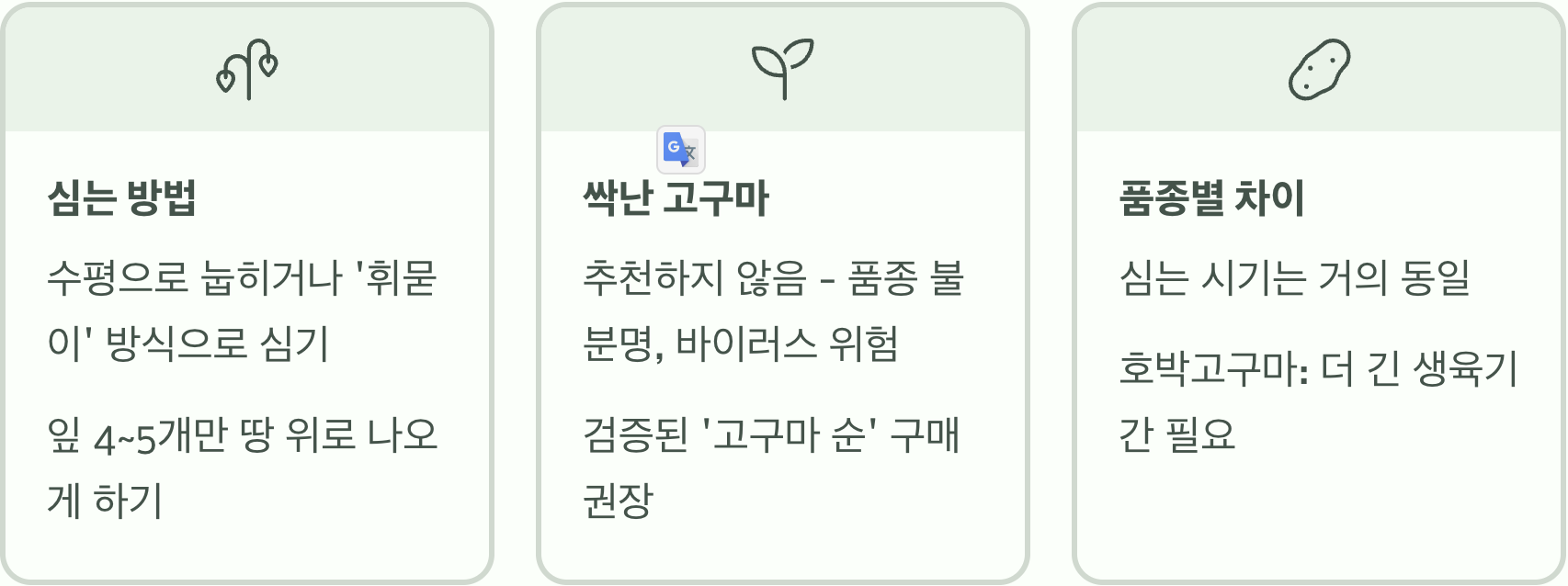 고구마 파종시기, 4월 말? 5월 초? 최적의 날짜는?