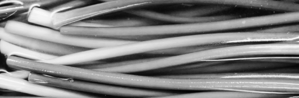 소금 마늘종 장아찌 담그는법