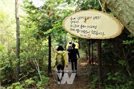 2024 땅끝해남 달마고도 힐링축제 기본일정과 특징 소개