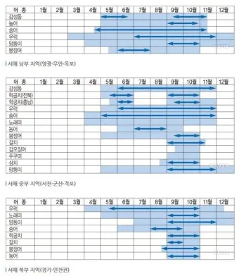 낚시 시즌별 대상어 봄 감성돔 여름 전어 가을 갈치 겨울 빙어_10