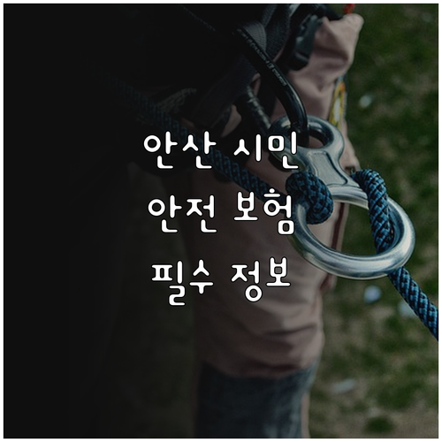 안산 시민 필독! 2025 시민안전보..