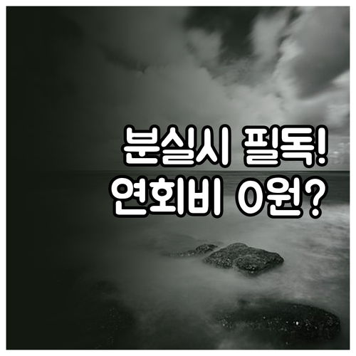 모두의카드 분실 시 대처법 및 연회비..