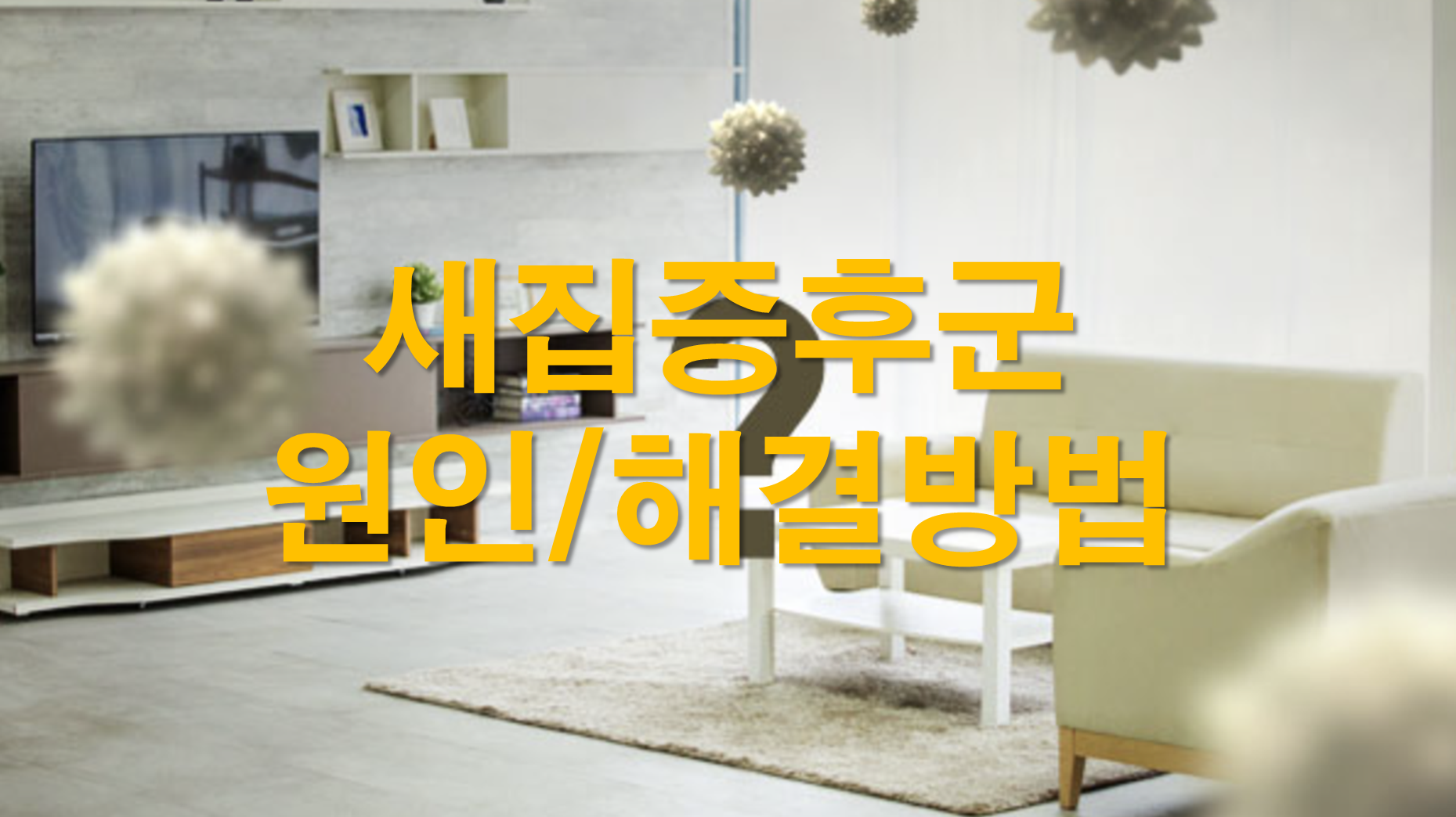새집증후군 원인 해결방법