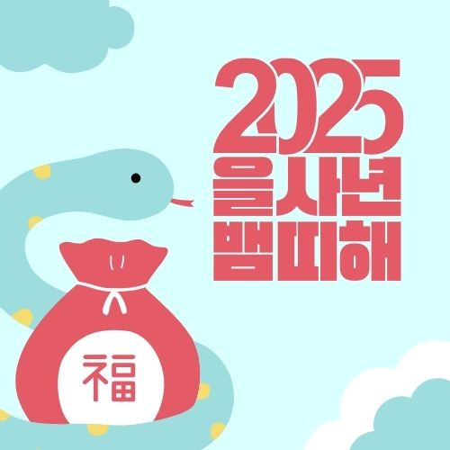 2025년 무슨해 을사년 띠 뱀띠