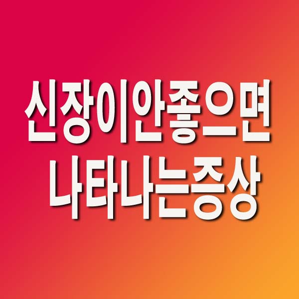 신장이 안좋으면 나타나는 증상