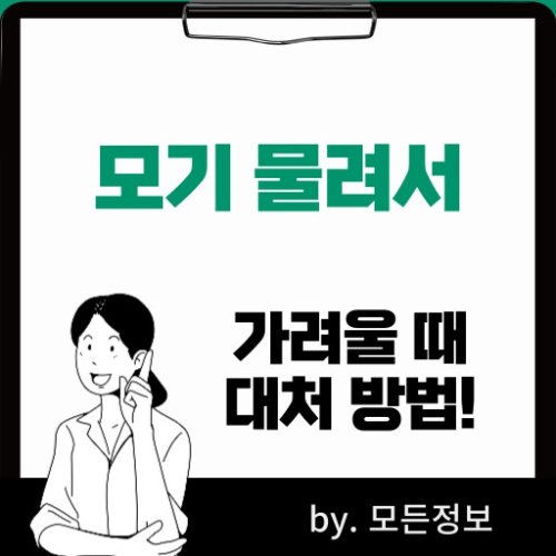 모기 물려서 가려울 때