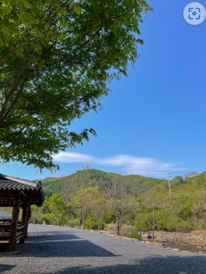 캠핑장-사이트
