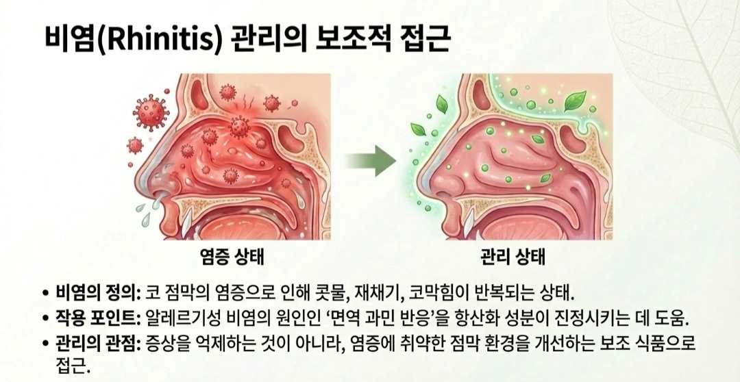 삼백초-사진4