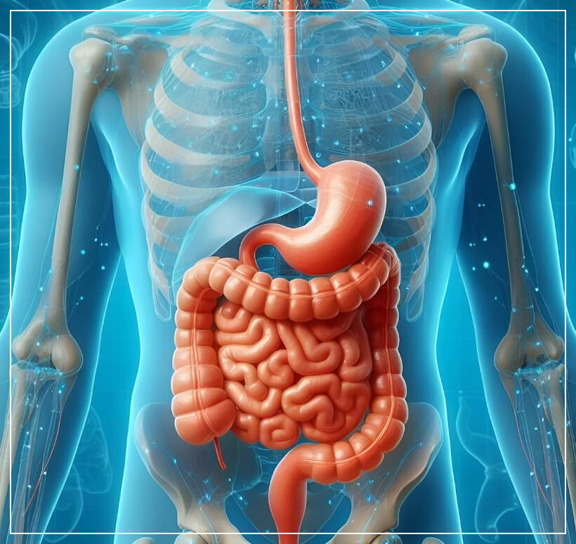 대장내시경 전 먹어도 되는 음식