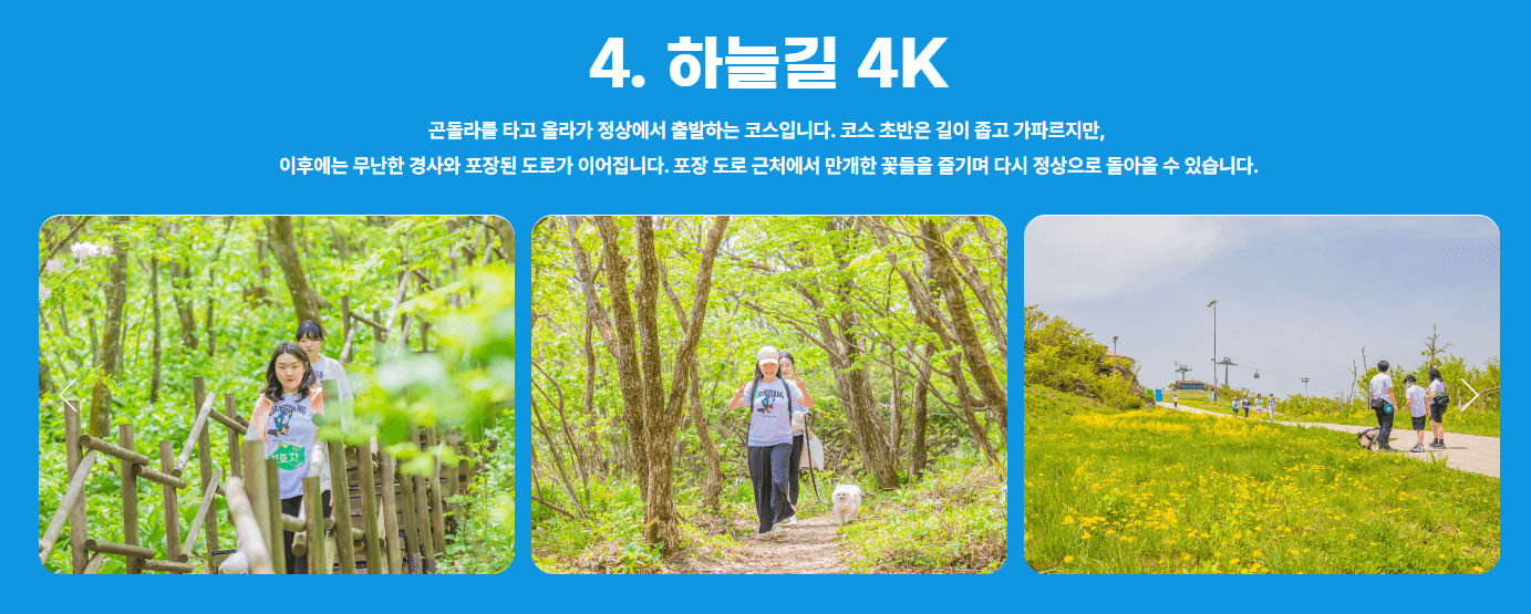 2025 댕댕 트레킹 예매 방법, 신청조건, 신청기간, 코스 안내, 장소 안내