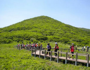 숲나들e 홈페이지 실시간 예약방법