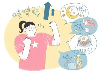 면역력 높이는 하루 루틴과 시간대별 건강 습관_4