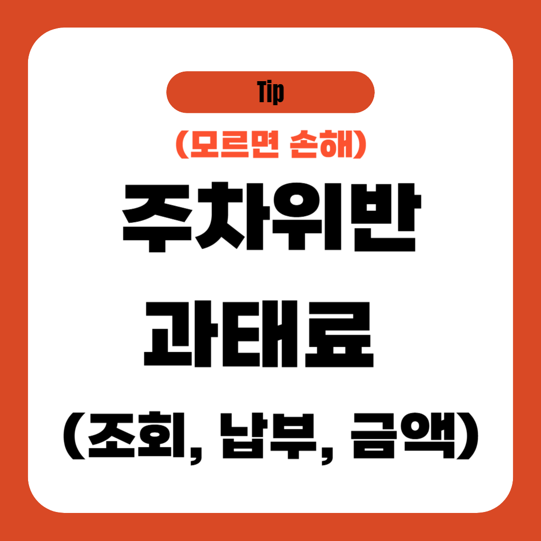 주차위반 과태료 (조회, 납부, 금액)