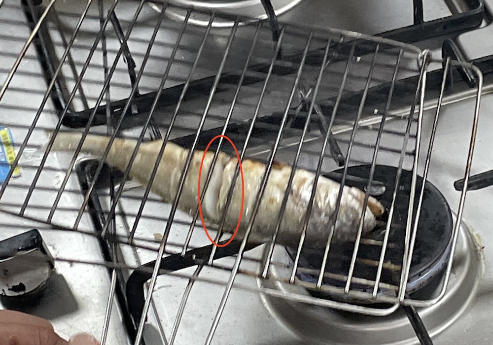 한식조리기능사 실기시험 준비 - 생선양념구이-애벌구이(초벌구이)