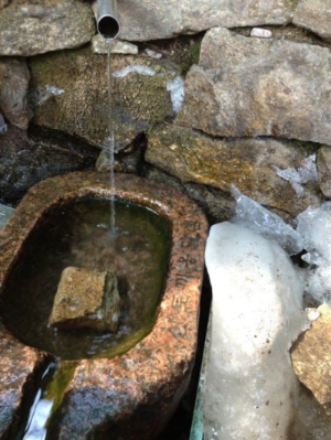 청계산 산토끼 옹달샘