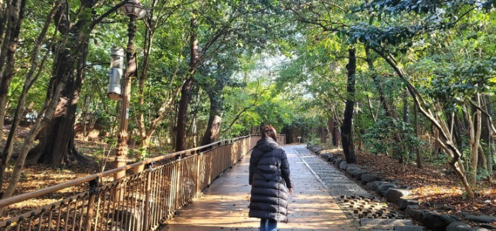 오동도 산책로