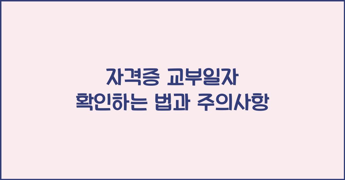 자격증 교부일자