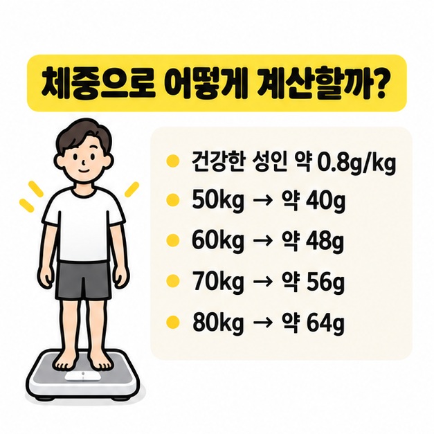 체중별 기본 단백질 섭취량을 표로 비교한 그림