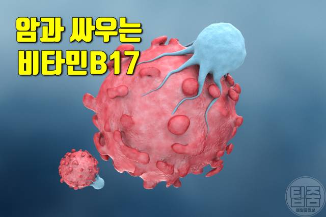 아몬드 물에 불리기 아몬드 물에 불리는 시간 아몬드효능 항암