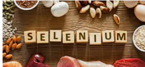 셀레늄(Selenium)2