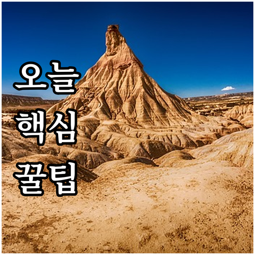 현대카드 선예매: 시간적 우위로 원하..