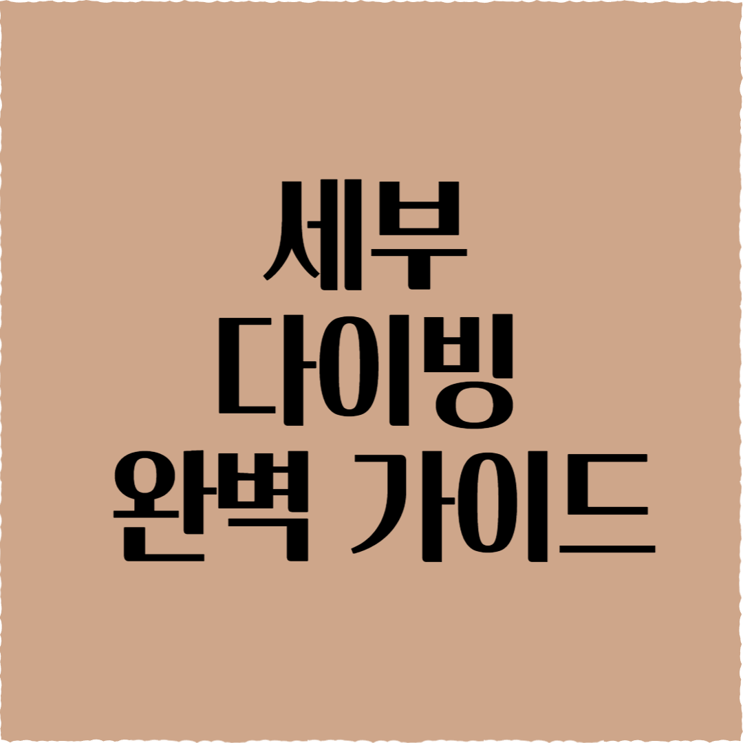 세부 다이빙 완벽 가이드: 초보부터 베테랑까지