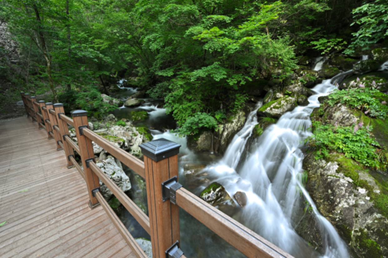 항골 숨바우길 데크로드 사진
