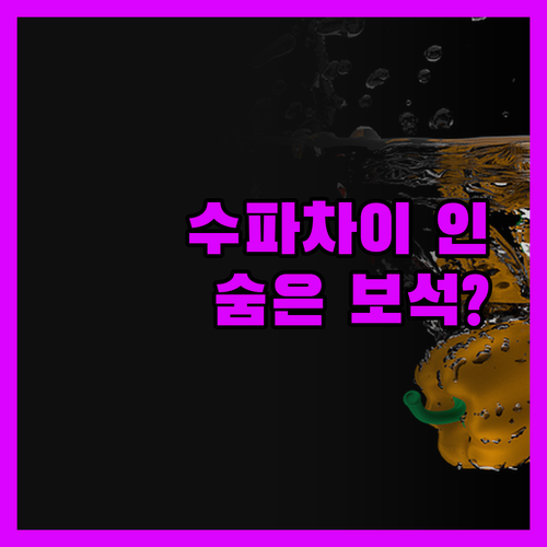 수파차이 인, 나콘시탐마랏 여행객의 
