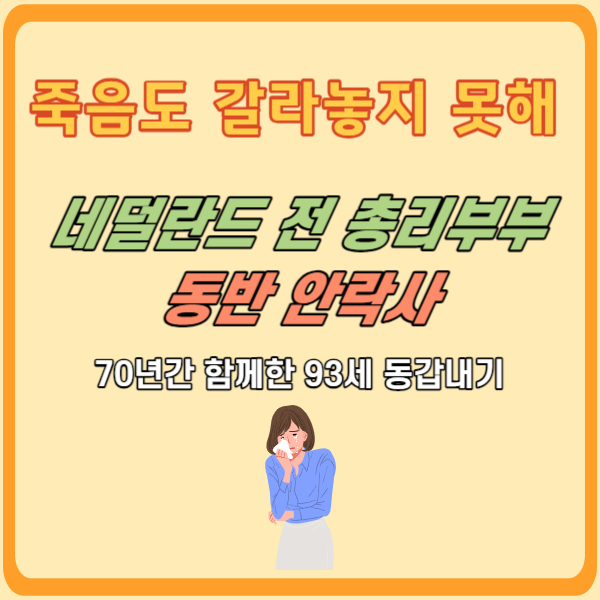 네덜란드총리부부동반안락사