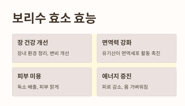 보리수 효소 효능