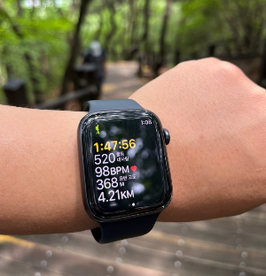 스마트워치-애플워치-심박수