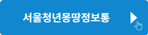 서울청년몽땅정보통