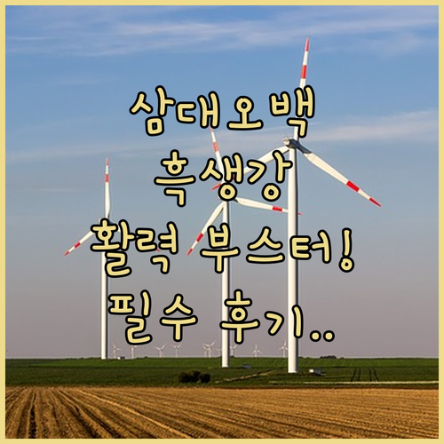 삼대오백 리바이탈엑스 흑생강 액상스틱..