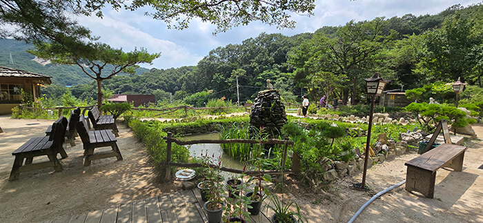 식사 후 마주하게 되는 마당의 풍경