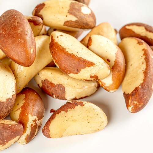 브라질너트 생김새