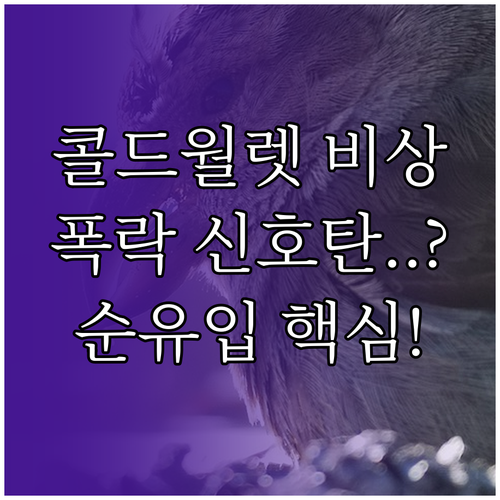 콜드월렛 이탈 비트코인 순유입 증가는..