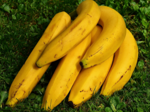 입덧 가라앉히는 음식